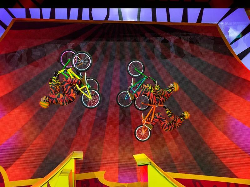 Acesso Vip - Shows Beto Carrero World