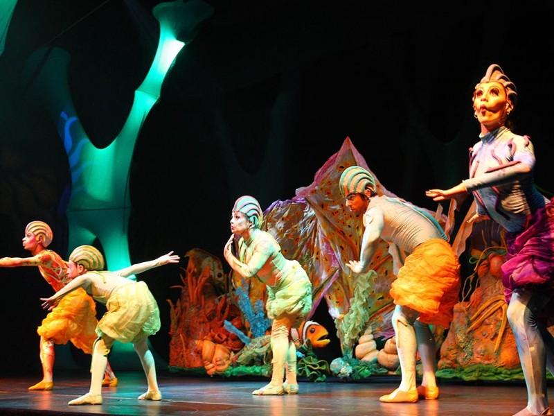 Acesso Vip - Shows Beto Carrero World