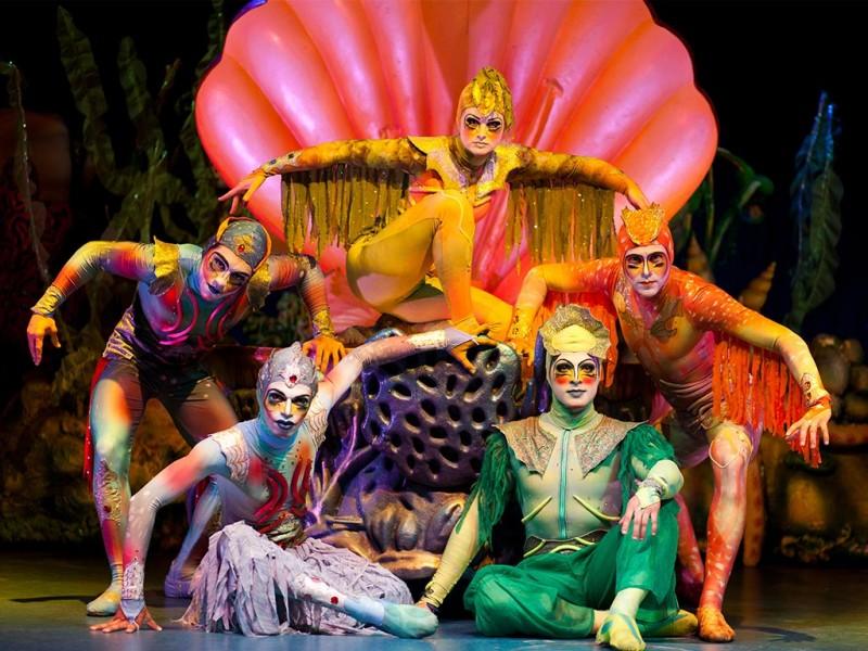 Acesso Vip - Shows Beto Carrero World