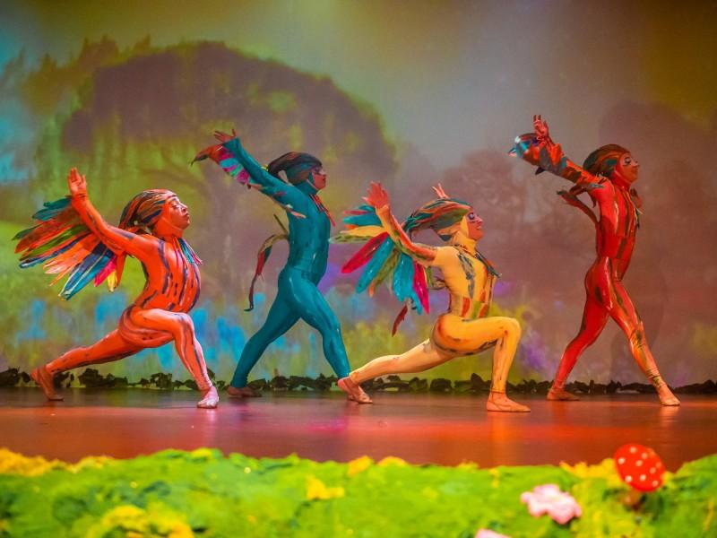 Espetáculo Korvatunturi - Setor a