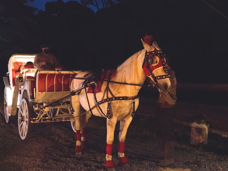 Fondue no Campo Exclusivo em Gramado Ecoparque