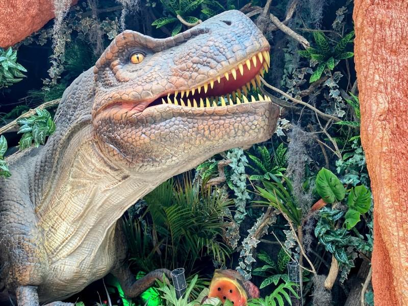 Ingresso Aventura Jurássica - Balneário Camboriú