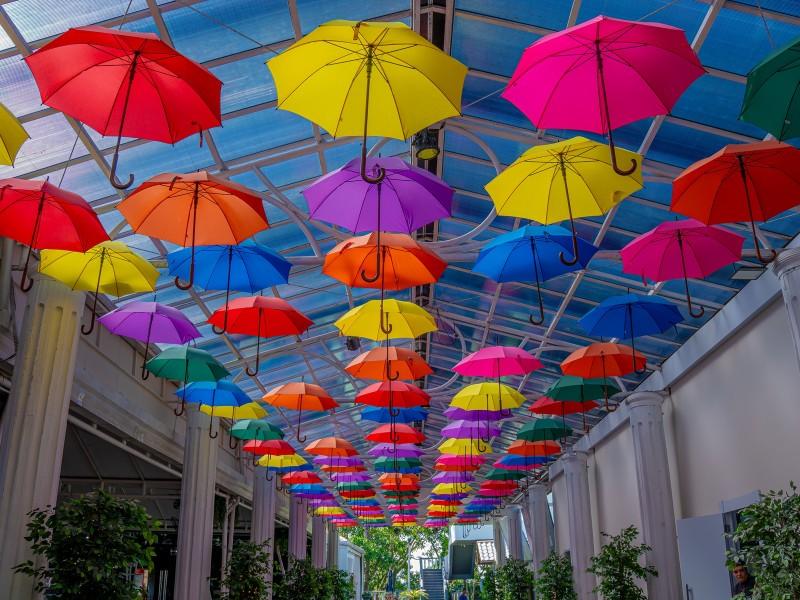 Ingresso Cristo Luz - Balneário Camboriú