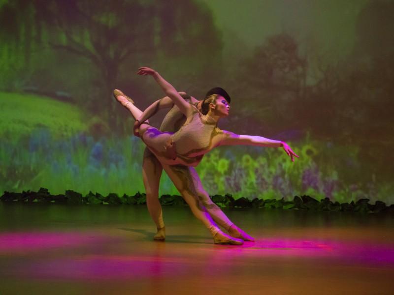 Ingresso Espetáculo Korvatunturi - Setor B