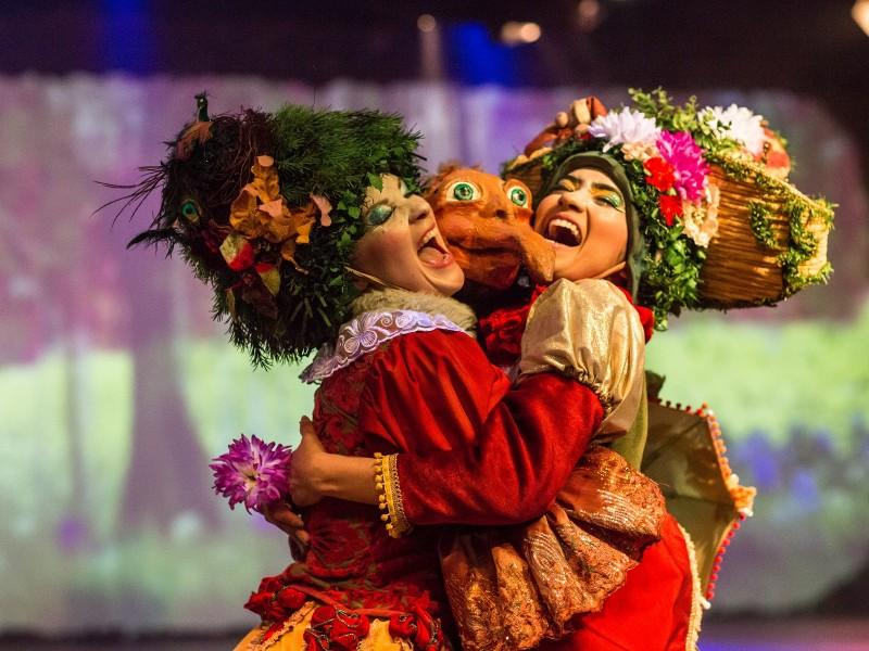 Ingresso Espetáculo Korvatunturi - Setor B