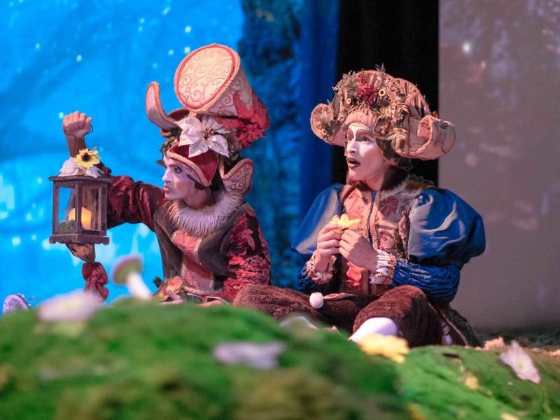 Ingresso Espetáculo Korvatunturi - Setor C