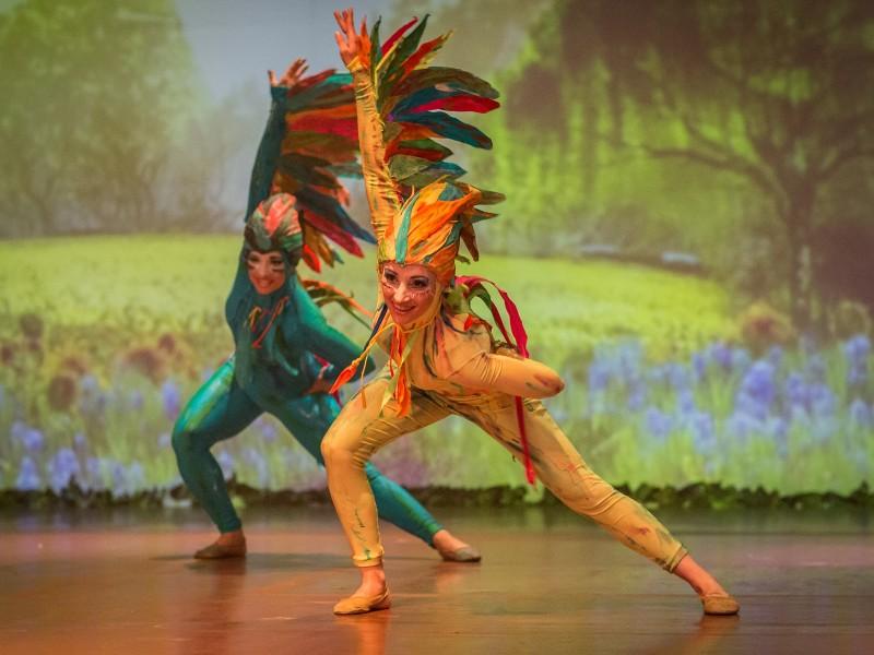 Ingresso Espetáculo Korvatunturi - Setor C