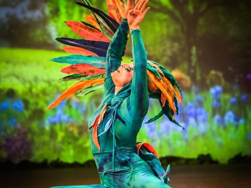 Ingresso Espetáculo Korvatunturi - Setor C