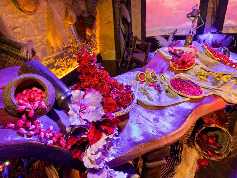 Ingresso Fantastic House Gramado