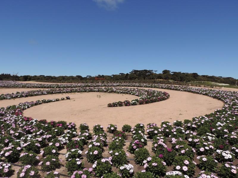 Ingresso Mátria Parque de Flores