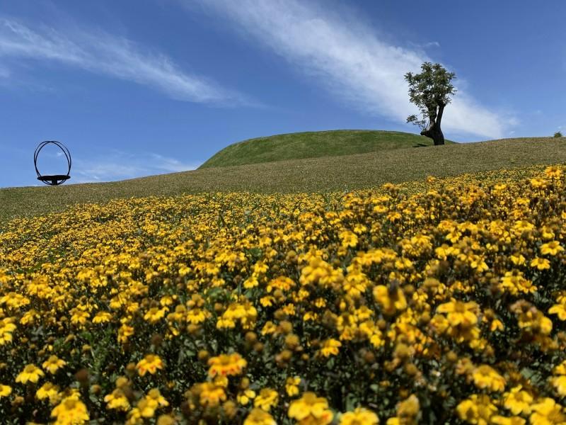 Ingresso Mátria Parque de Flores