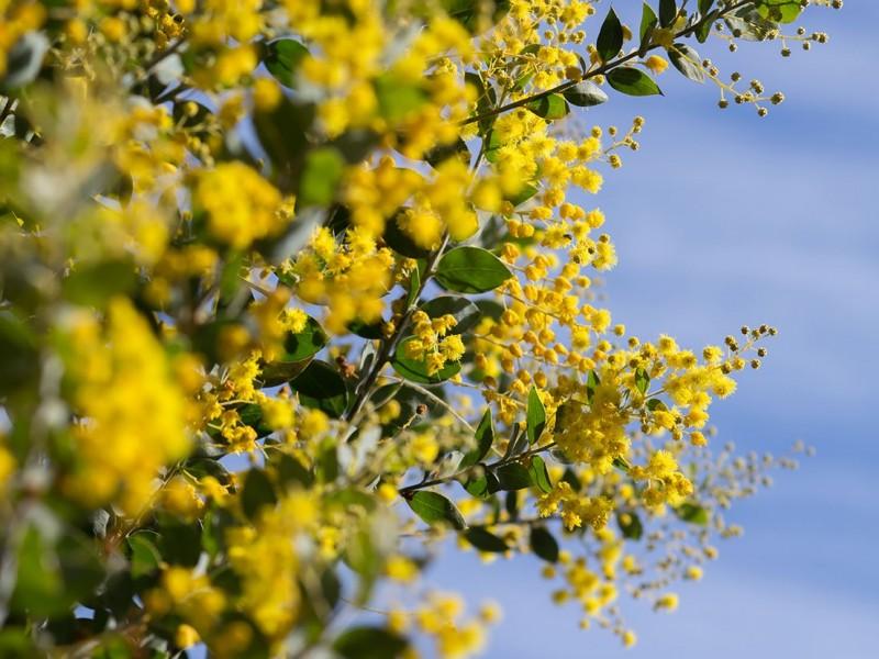 Ingresso Mátria Parque de Flores