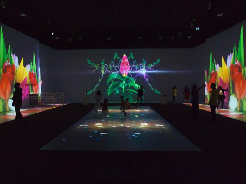 Ingresso Multiverso Experience Gramado