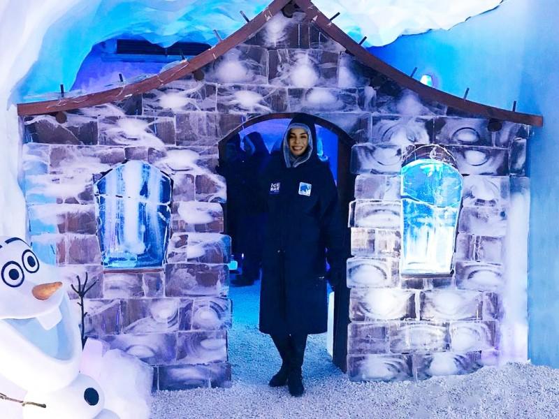 Ingresso Mundo Gelado do Capitão