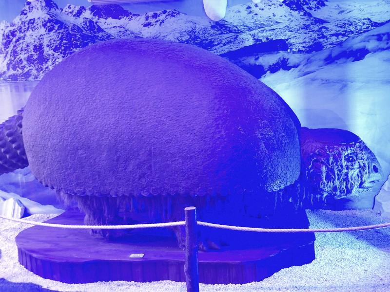 Ingresso Mundo Gelado do Capitão