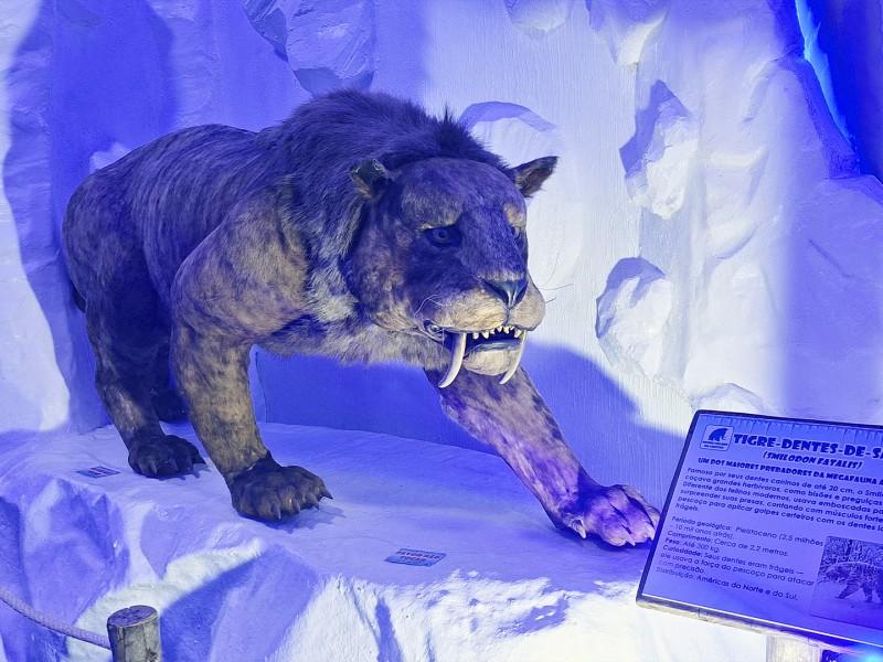 Ingresso Mundo Gelado do Capitão