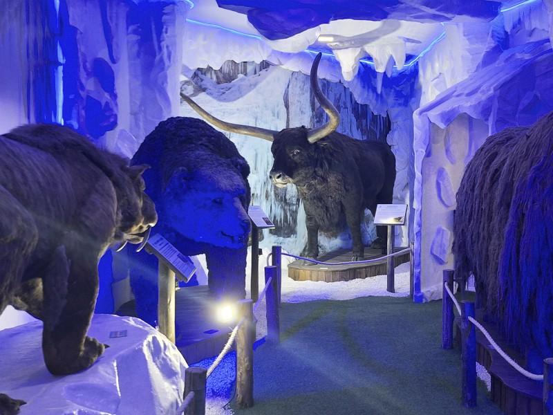 Ingresso Mundo Gelado do Capitão