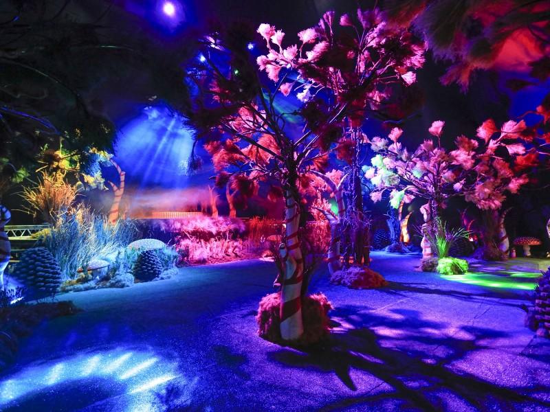 Ingresso o Reino do Natal Gramado 2021