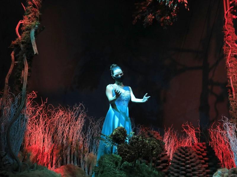 Ingresso o Reino do Natal Gramado 2021