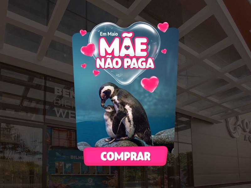 Ingresso Oceanic Aquarium - Balneário Camboriú