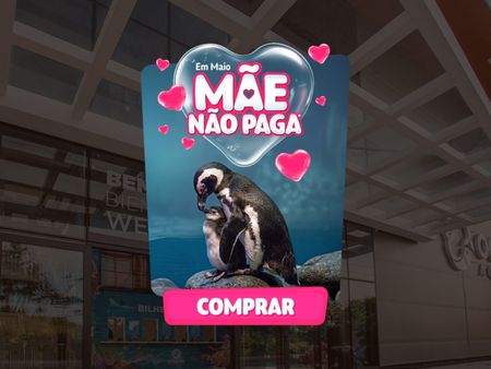Ingresso Oceanic Aquarium - Balneário Camboriú