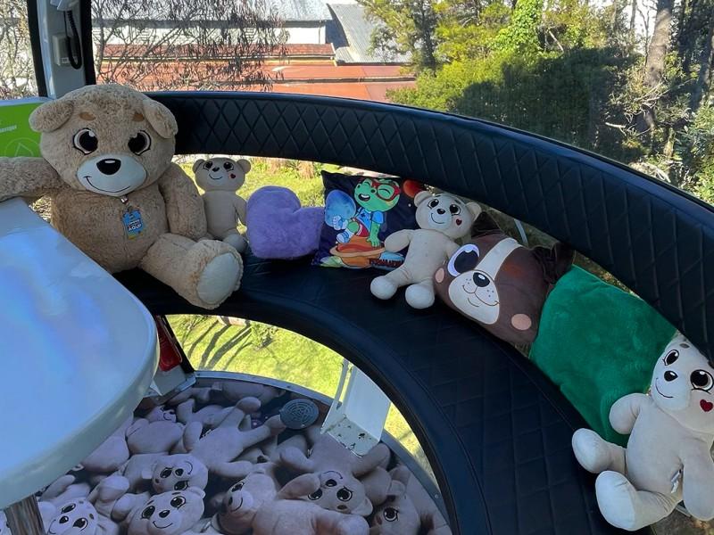 Ingresso Roda Gigante Canela