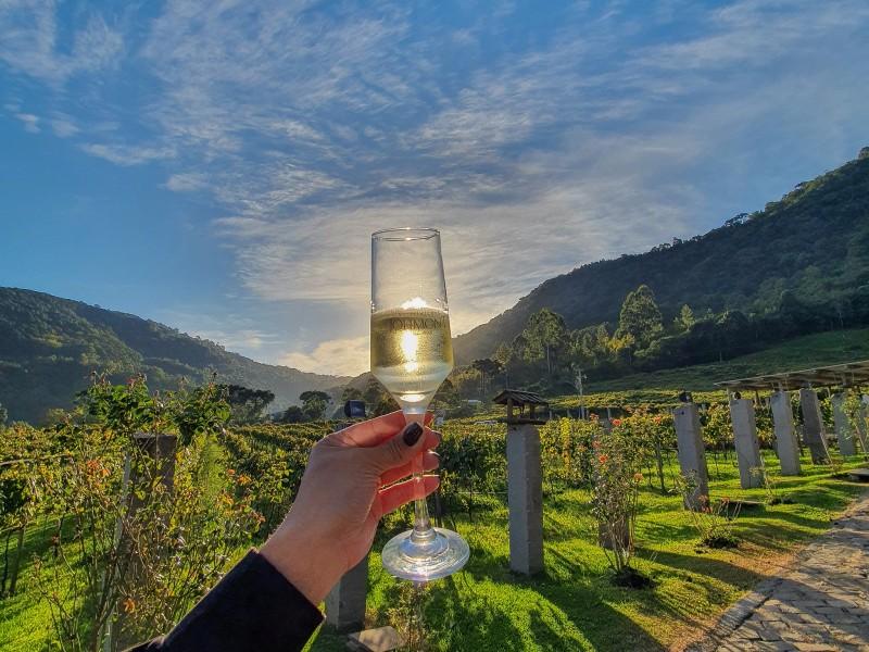 Ingresso Vitivinícola Jolimont Com Degustação e Taça