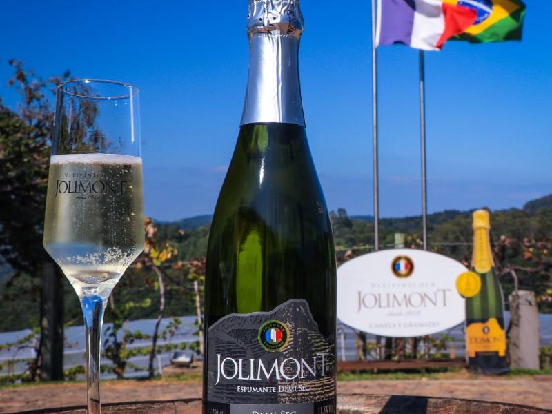 Ingresso Vitivinícola Jolimont Com Degustação e Taça