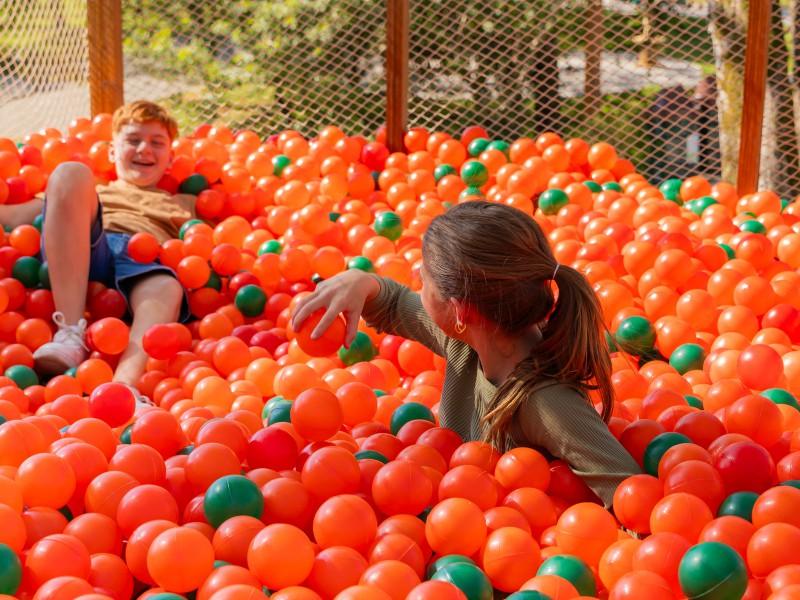 Parque Spitz Pomer - Pomerode