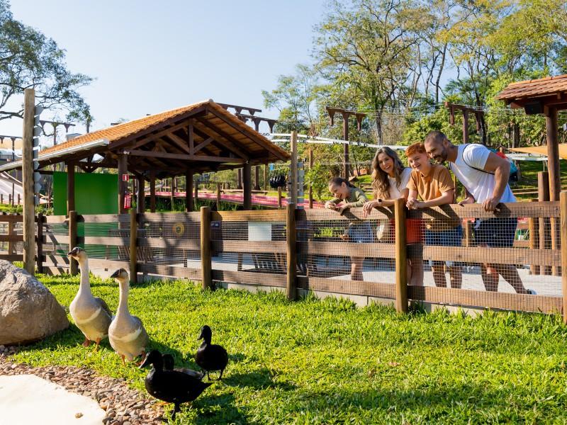 Parque Spitz Pomer - Pomerode