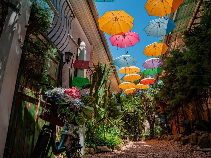 Passaporte Dreams Gramado 8 Atrações