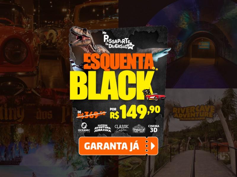 Passaporte Vip da Diversão - 5 Atrações Imperdíveis