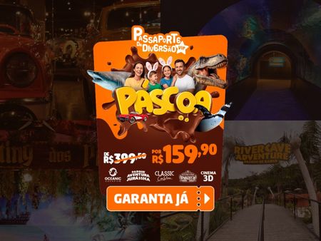 Passaporte Vip da Diversão - 5 Atrações Imperdíveis