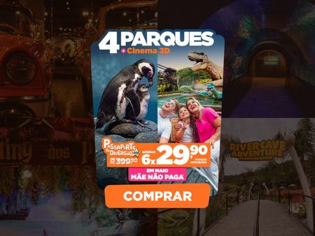 Passaporte Vip da Diversão - 5 Atrações Imperdíveis