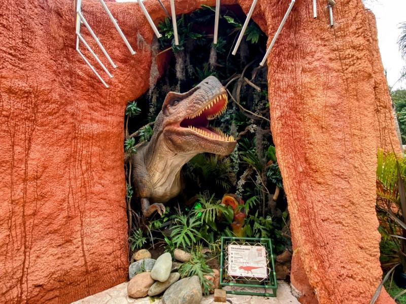 Passaporte Vip da Diversão + Space Adventure - 6 Atrações