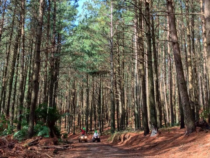 Passeio Aos Morros Pelado e Dedão