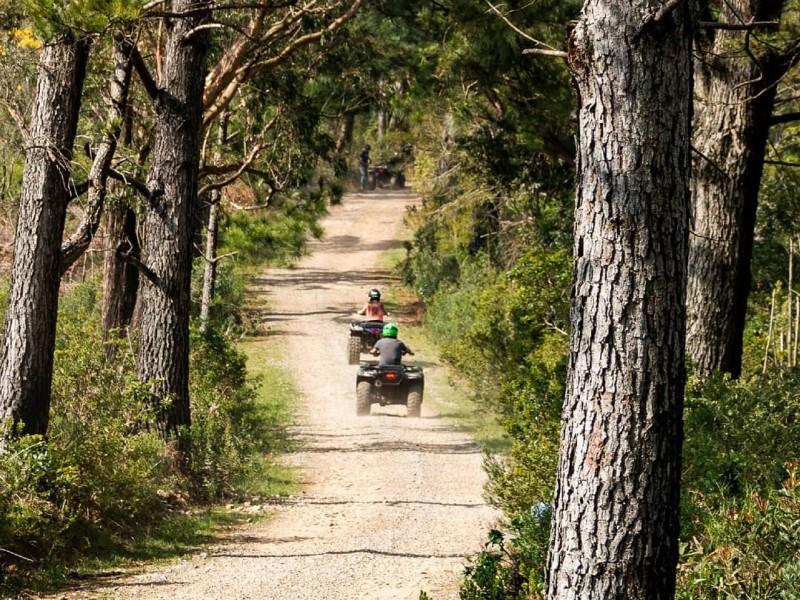 Passeio de Quadriciclo nos Morros Pelado e Dedão