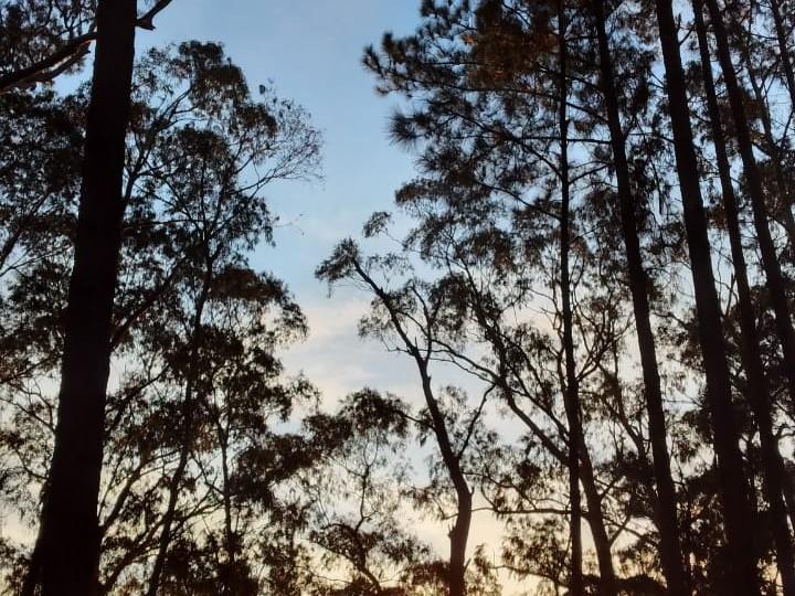 Passeio do Por do Sol de Quadriciclo