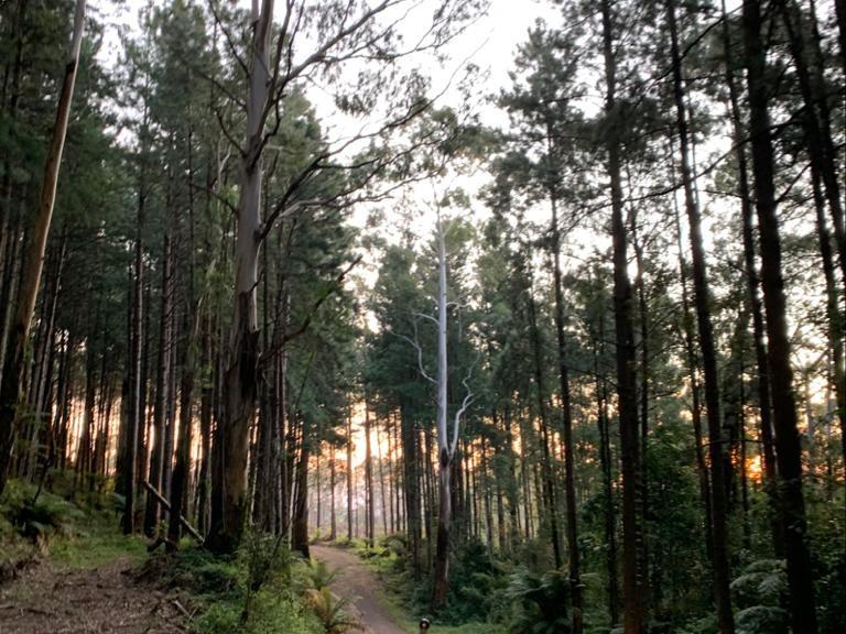 Passeio do Por do Sol de Quadriciclo